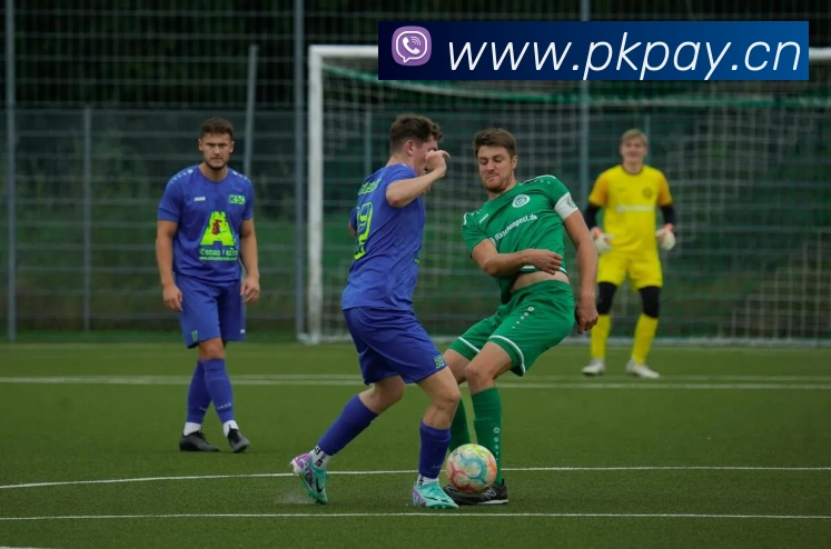 开云在线登陆入口APP 高清赛事图